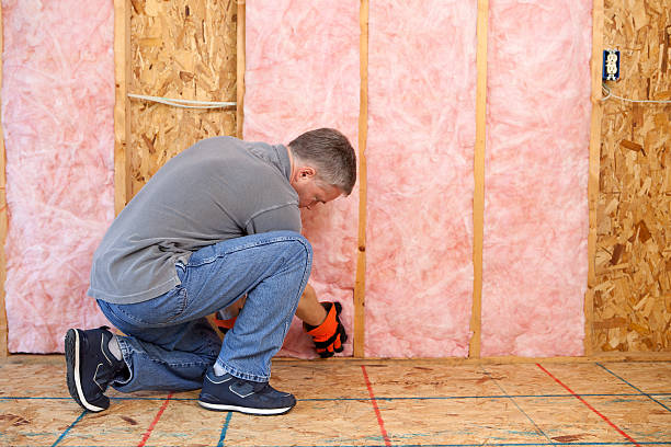 Best Residential Insulation in Ellsworth, KS